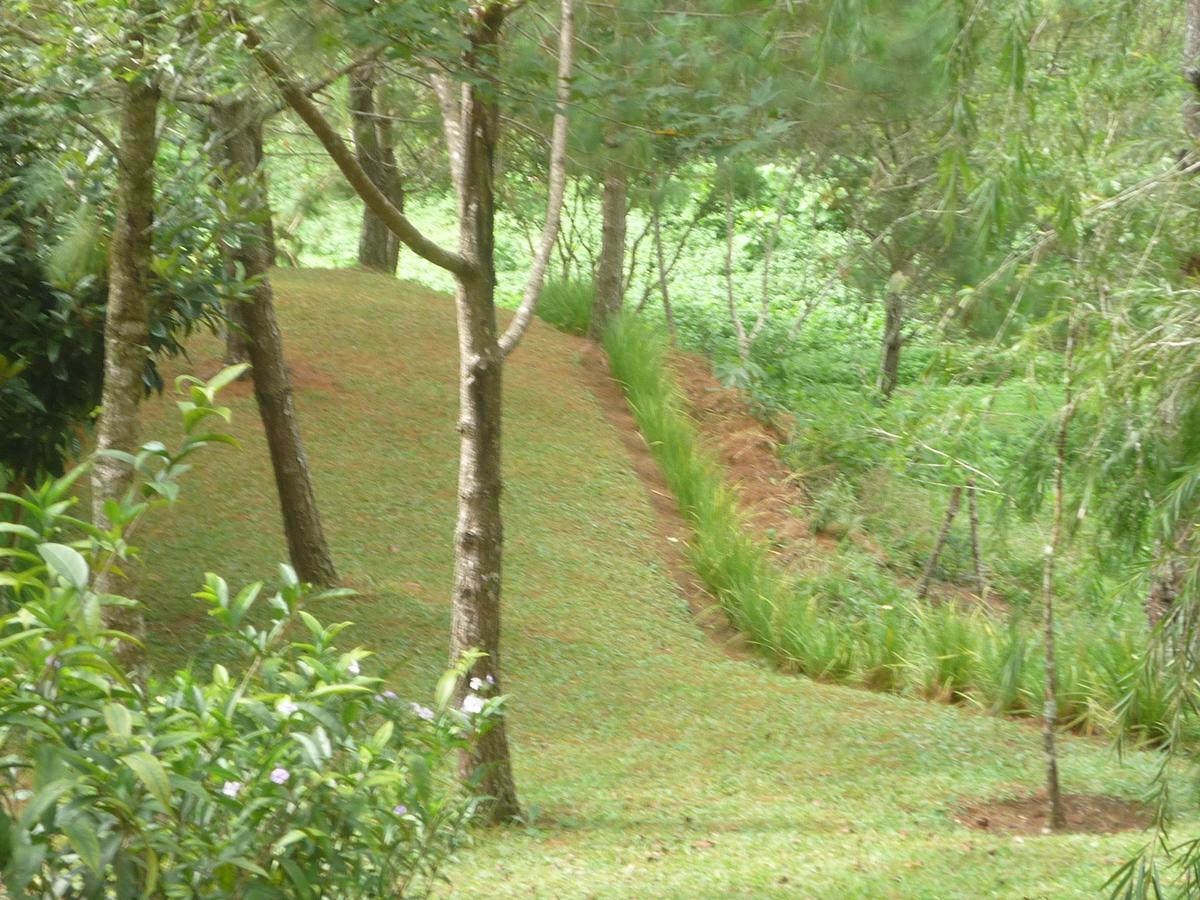 Hotel Casa Gaia Coban Luaran gambar